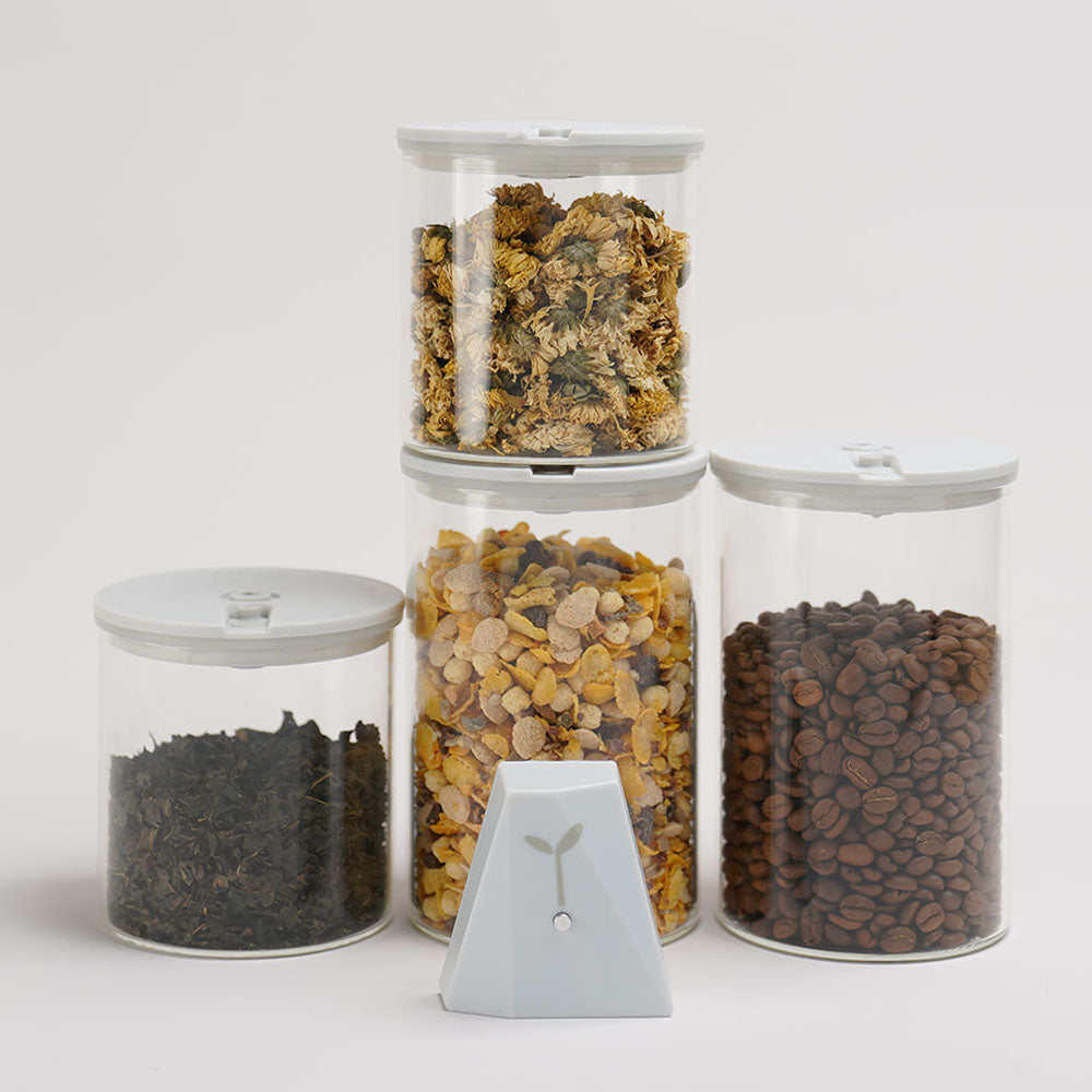 Best Vacuum Seal Canisters for Food Storage SealVax