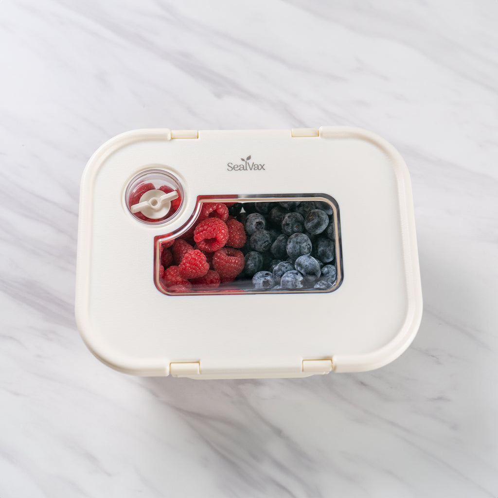 SEASON•SEAL Container | marinate container | vacuum container | glass container | vacuum storage container | Food storage Container 