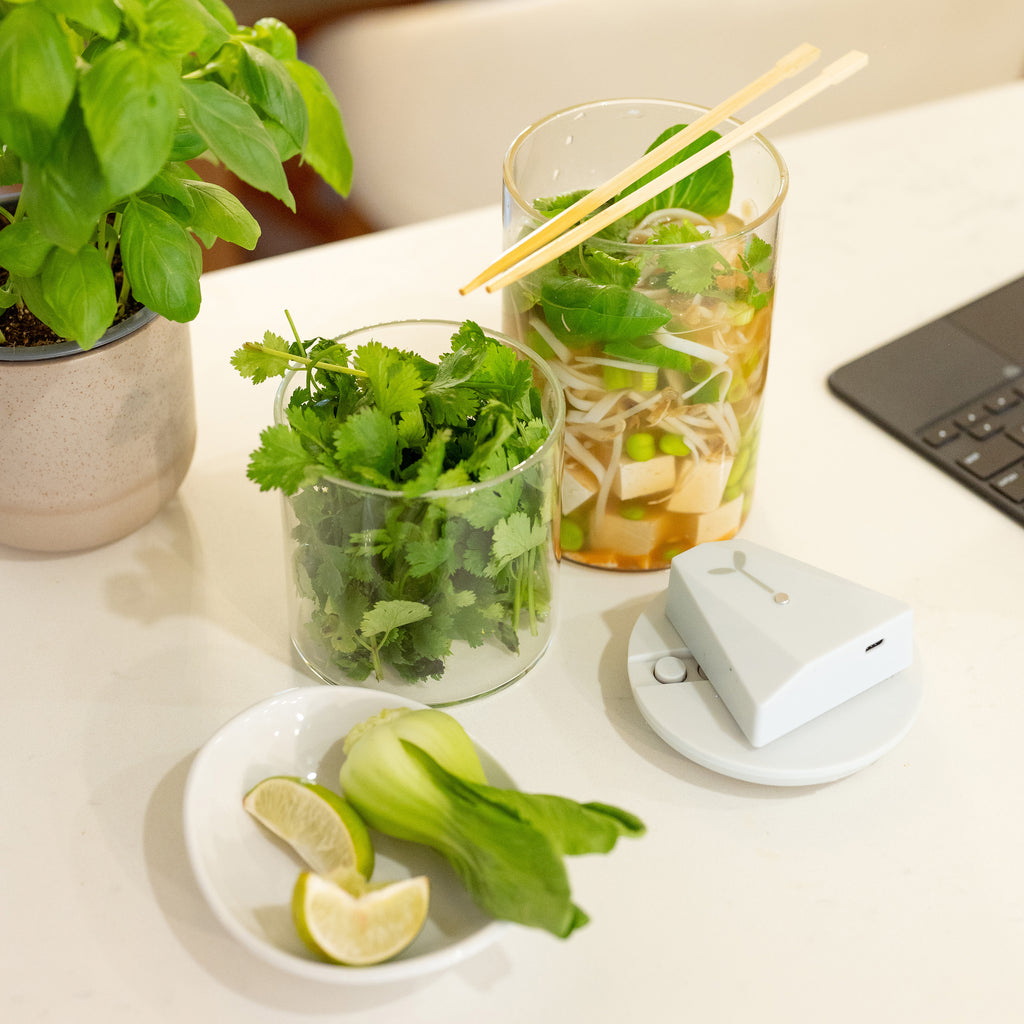 2-VOYD Vacuum Canisters set, (S+L) & Vacuum Device